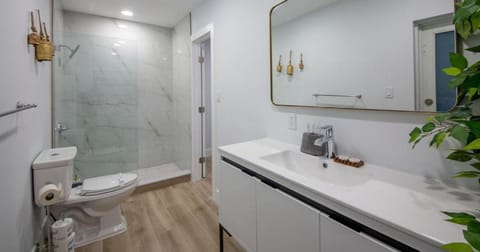 Shower, Toilet, Bathroom, Bath, towels