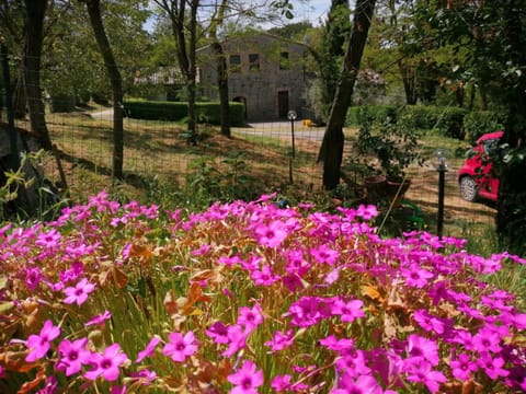 Agriturismo Il Cornalino Farm Stay in Umbria