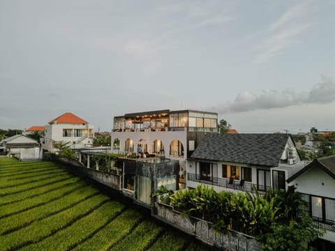 Property building, Garden view