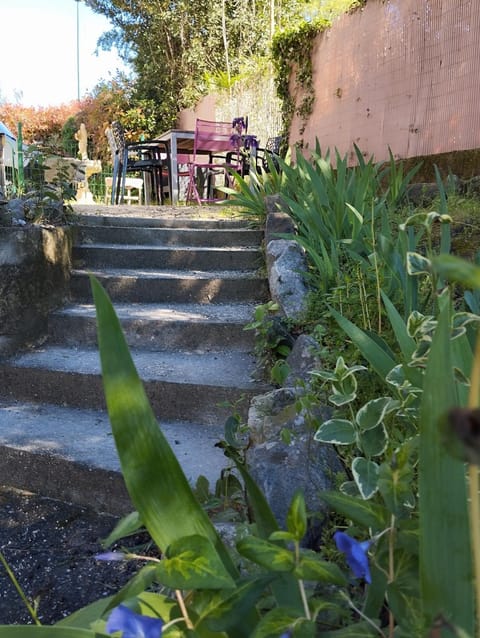 Garden, Garden, Balcony/Terrace, Garden view