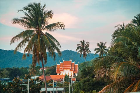 Scubadoo house and Diving Hostel in Ko Tao
