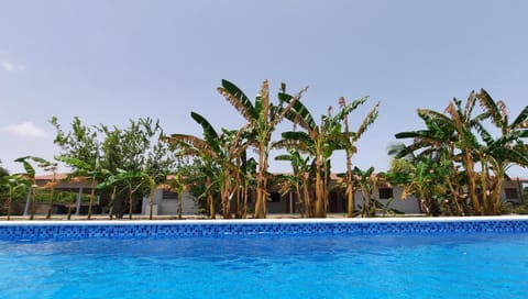 Garden, Pool view, Swimming pool