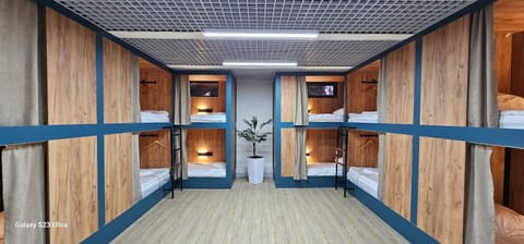 Bed, Photo of the whole room, Bedroom, bunk bed