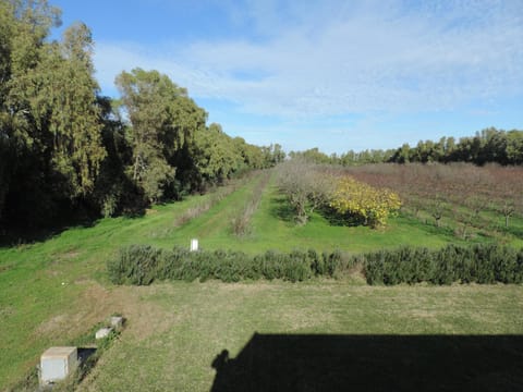 Natural landscape, Garden