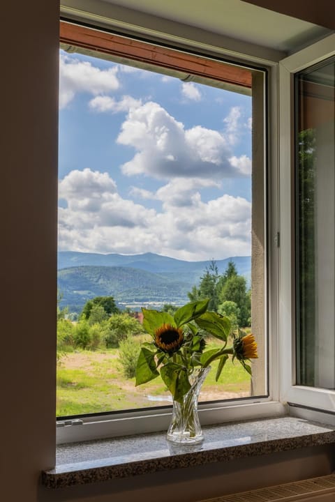 Day, Mountain view