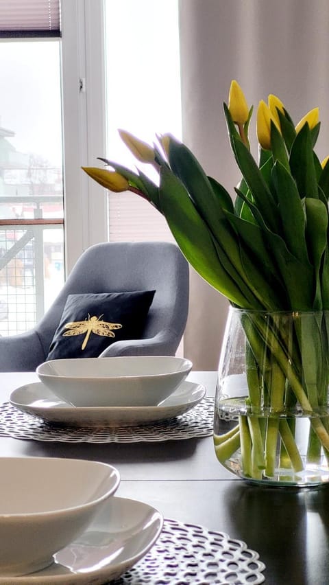 Na Żeglarskim Szlaku WJM Apartment in Lithuania