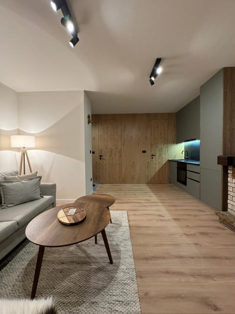 Kitchen or kitchenette, Living room, Seating area