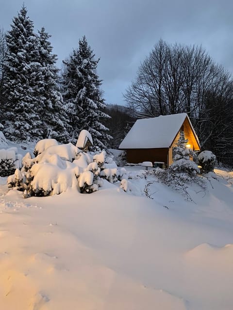 Natural landscape, Winter