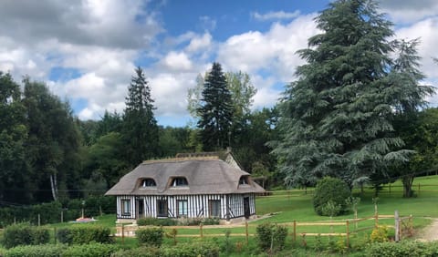 Property building, Natural landscape, Garden view