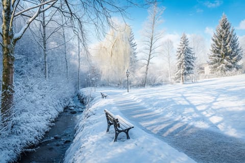 Natural landscape, Winter