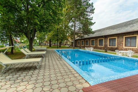Garden, Garden view, Swimming pool, sunbed