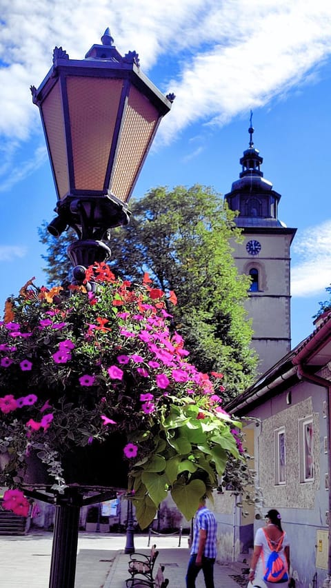 Nearby landmark, Spring, Day, People, Other, Windsurfing, Cycling, Guests, City view, Location