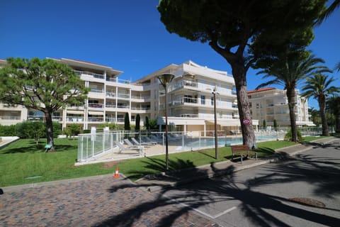 Ocean View Royal Palm Apartment in Cannes