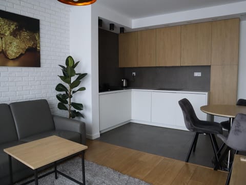 Kitchen or kitchenette, Living room, Seating area, Dining area