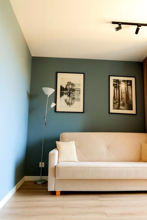 Living room, Decorative detail, Seating area