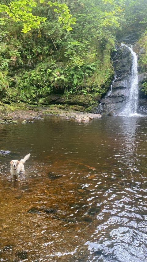 Country Cabin Cabin in County Mayo