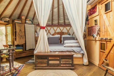Bed, Photo of the whole room