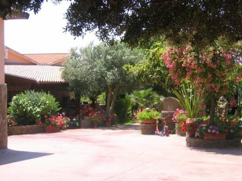 Patio, Garden