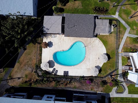 Bird's eye view, Pool view, Swimming pool, sunbed