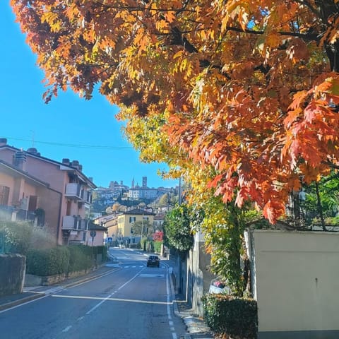 Neighbourhood, Street view