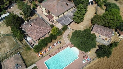 Garden, Swimming pool