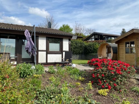 Property building, Sauna, sunbed