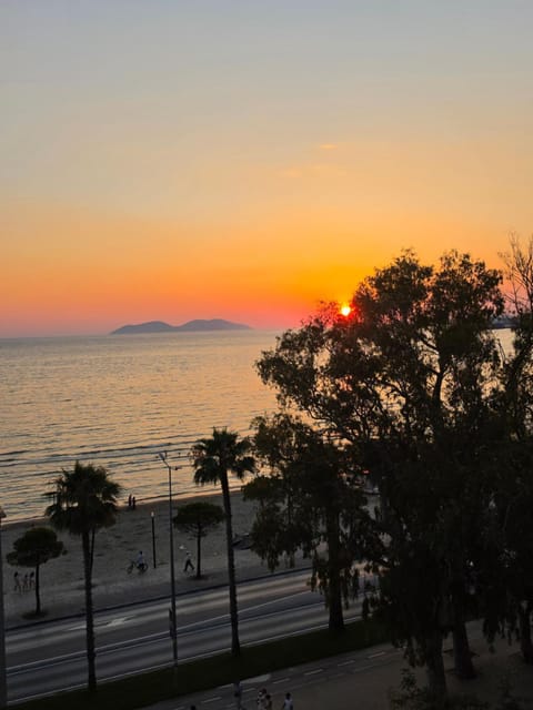 Beach, Sea view, Sunset