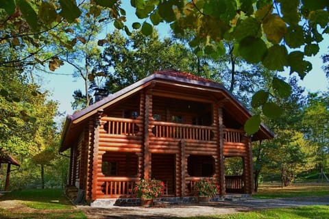 Property building, Garden, Garden view