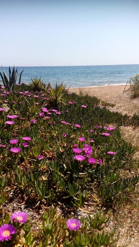 Sea melodies apartment 1 House in Messenia