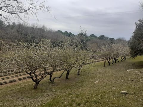 Maison restaurée à l'ancienne avec terrasse House in French Riviera
