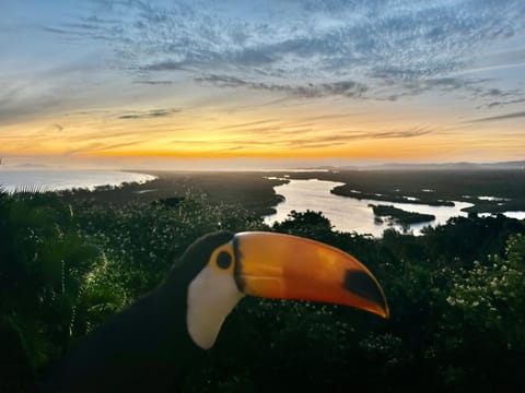 Minas Em Marambaia Bed and Breakfast in Rio de Janeiro