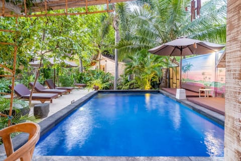 Garden, Garden view, Pool view, Swimming pool, sunbed