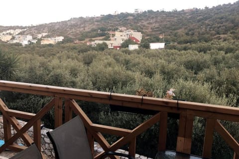 Beautiful Villa with a private pool ! House in Stalida