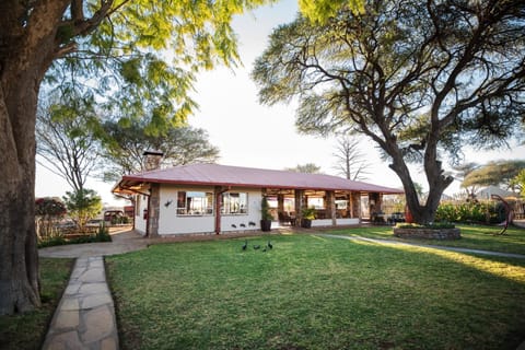Garden, Lounge or bar