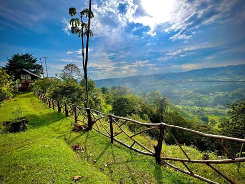 Spring, Off site, Natural landscape, Mountain view
