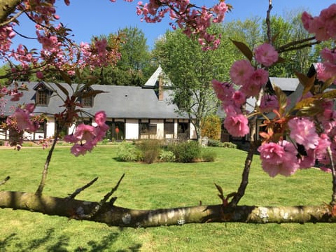 Property building, Spring, Day, Garden, Garden view