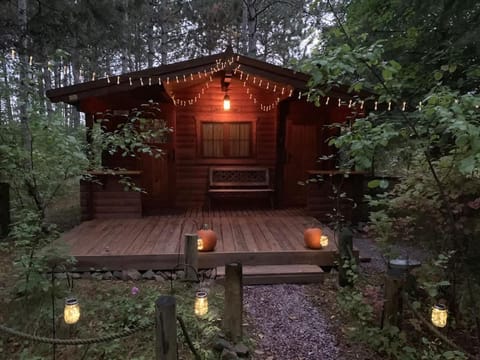 Fancy Fireflies Cabin Cabin in Hayward