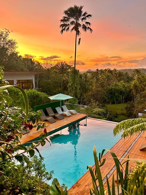 Pool view, Swimming pool