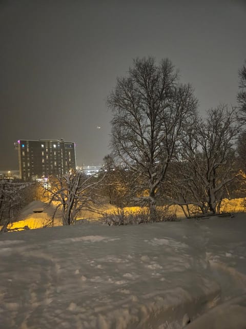 Studio apartment Apartment in Tromso