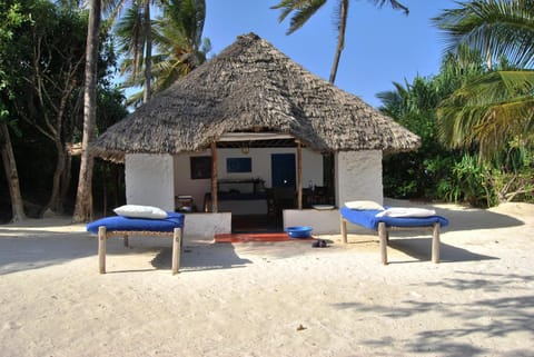 Property building, Day, Natural landscape, Beach, sunbed