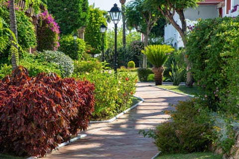 Noray Ingemar Bajo A Apartment in Marbella