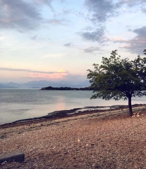 Leon & Ema Bed and Breakfast in Montenegro