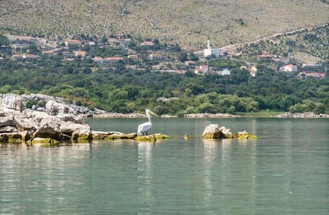 Leon & Ema Bed and Breakfast in Montenegro