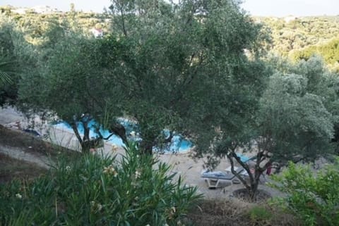 Haus mit Pool im Olivenhain Apartment in Messenia