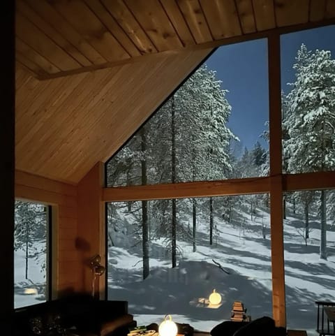 Natural landscape, Winter, Living room, Mountain view, Time of day