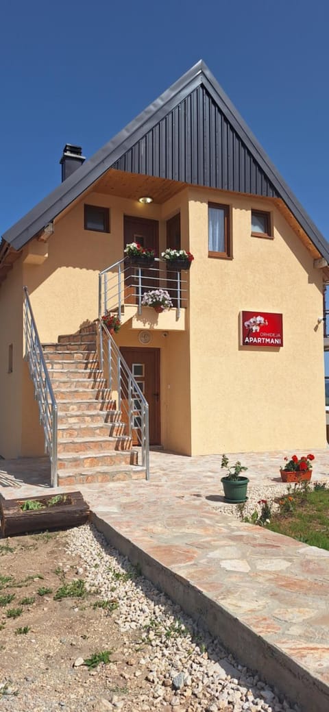 Apartments Orchidea Apartment in Montenegro