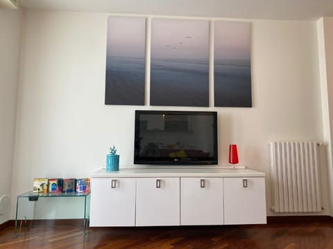 TV and multimedia, internet