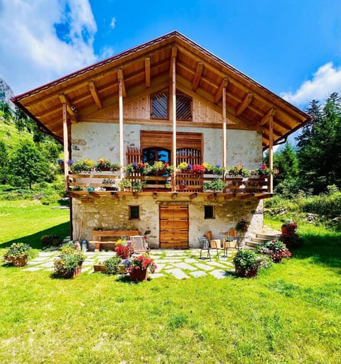 Chalet Pra Dell OSTIO Primiero San Martino di Castrozza Chalet in Trentino-South Tyrol