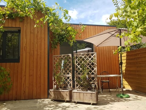 Patio, Spring, Garden, Garden view