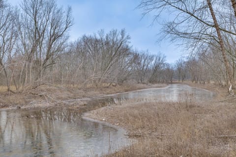 Pet-Friendly Cabin Retreat Wisconsin River Access Cabin in Wisconsin
